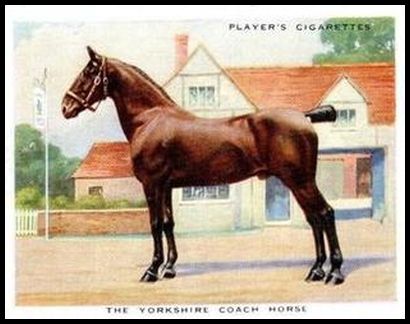 7 The Yorkshire Coach Horse